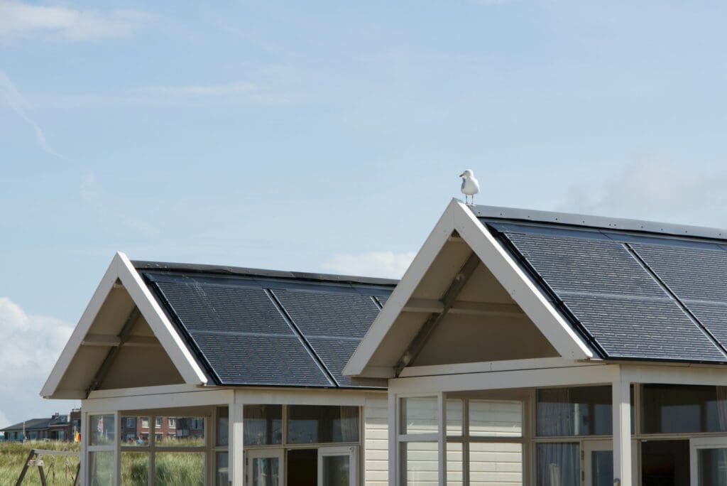 A seagull perched on the roof of a house equipped with solar panels under a partly cloudy sky. The house features large windows and triangular roof angles, offering both beauty and functionality while integrating pest control measures. Grass and more buildings are visible in the background.