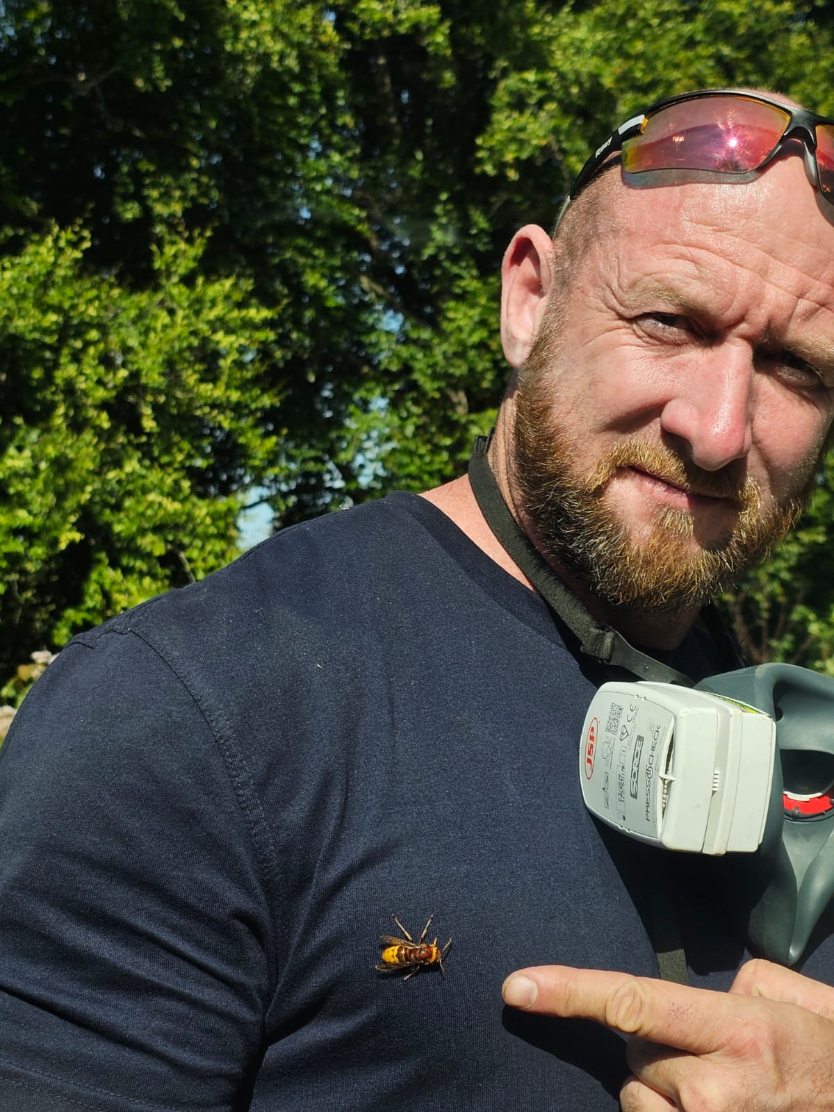A man wearing sunglasses on his head and holding a respirator points to a large wasp perched on his dark shirt, with green trees in the background.