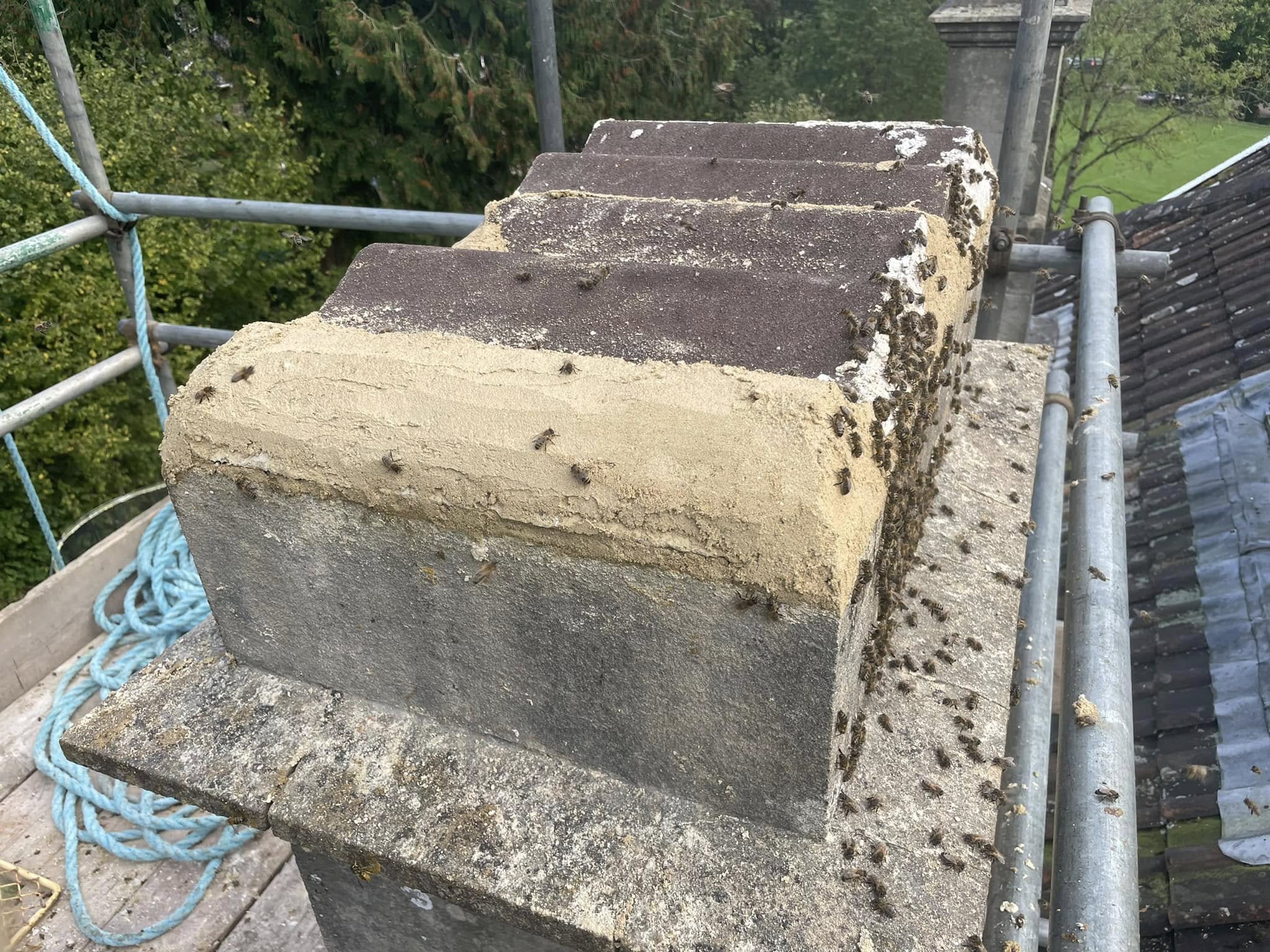 A stone chimney covered in bees, with scaffolding and a blue rope nearby. Trees and part of a tiled roof are visible in the background.