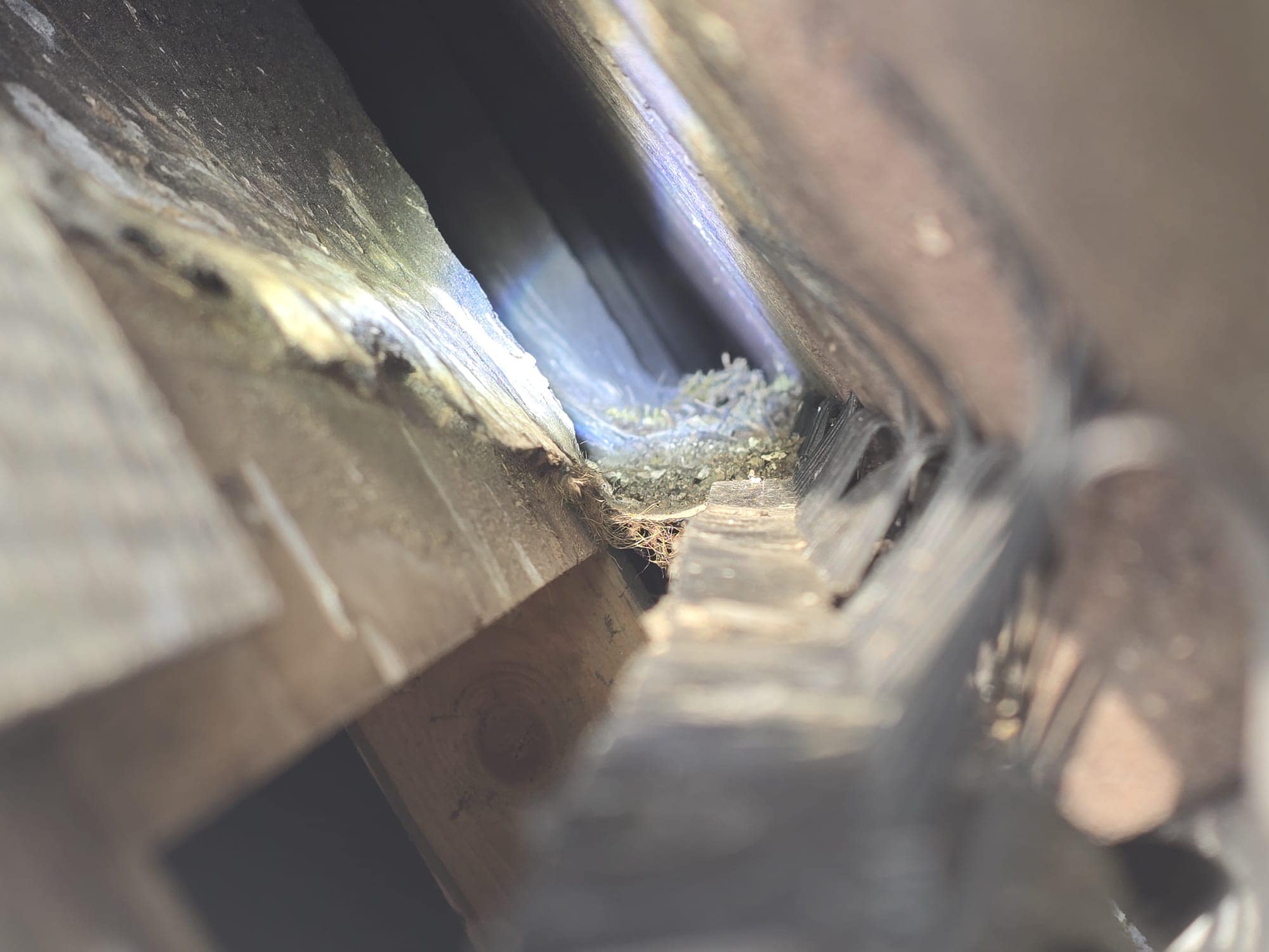 Close-up view of a damaged roof area with exposed wooden beams, insulation, and a gap letting in daylight, suggesting possible structural issues or water damage.