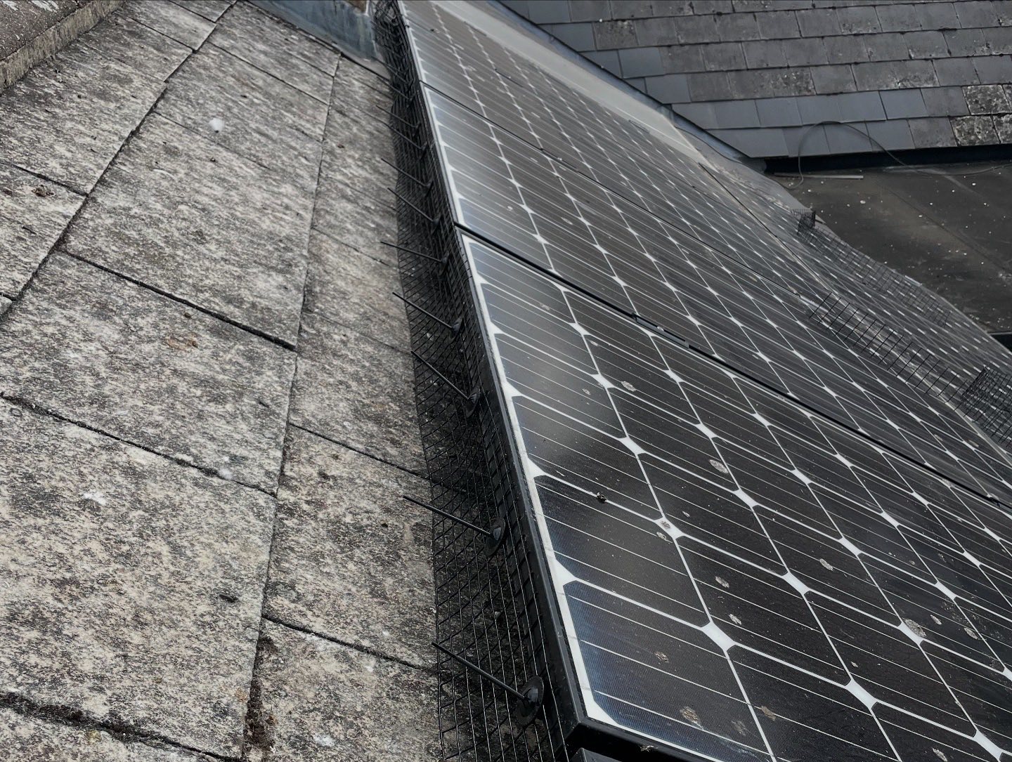 Close-up of solar panels installed on a sloped roof with gray shingles. A wire mesh guard runs along the edge of the panels, likely to prevent debris or wildlife from getting underneath.