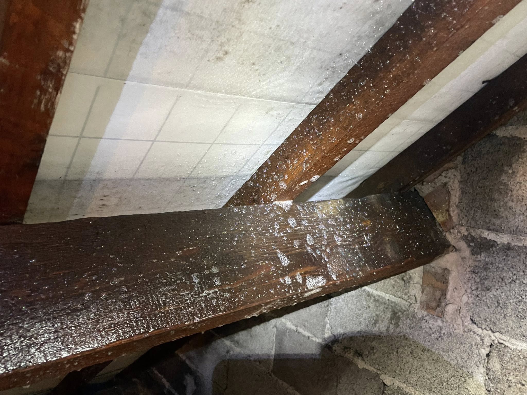 A close-up of wooden beams in an attic with visible white spots, possibly mold or water damage, against a tiled ceiling and rough stone wall.