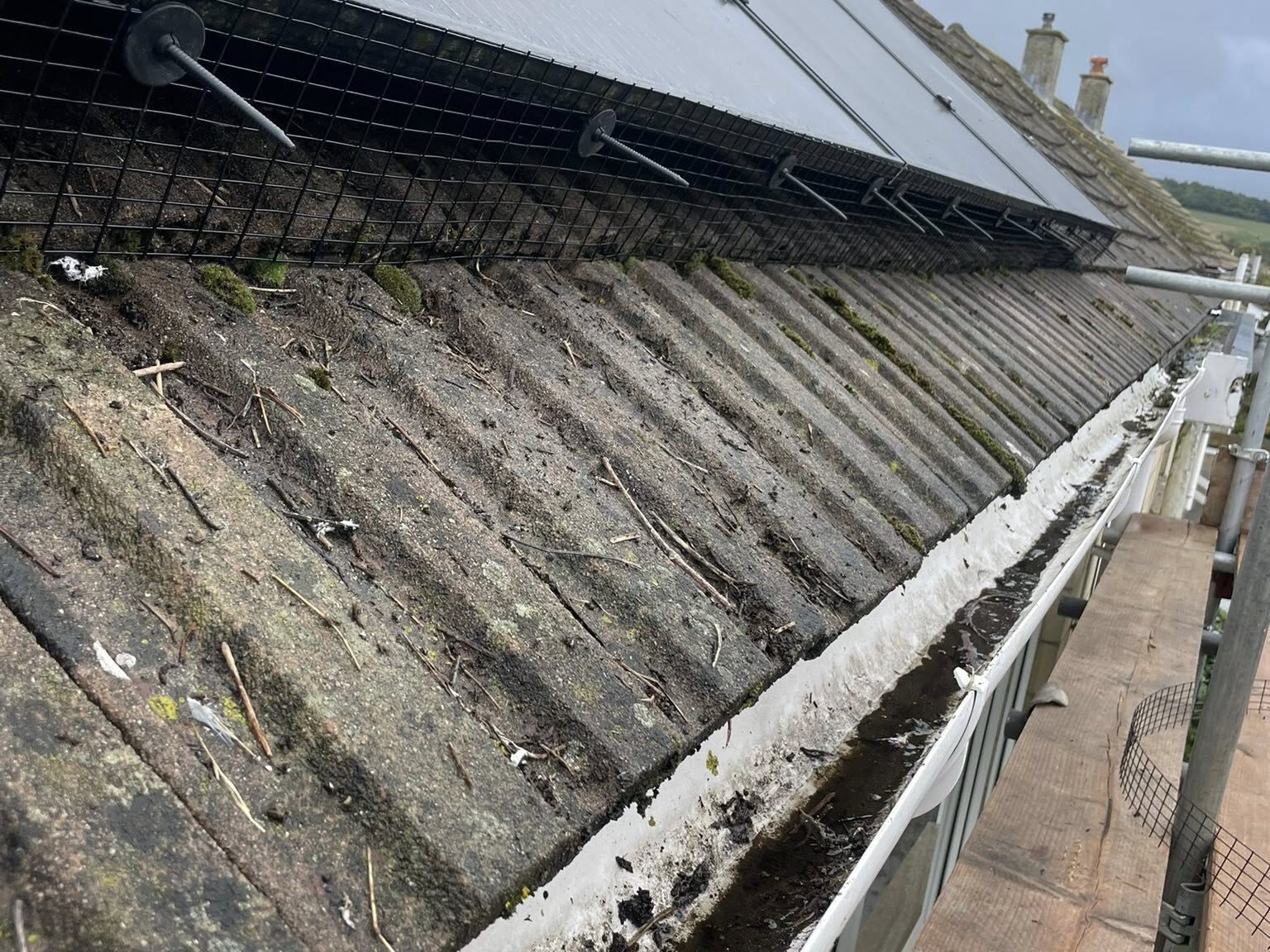 A sloped, weathered roof with wire mesh installed along the eaves to deter birds. The gutter below is filled with leaves, twigs, and debris, with some moss growing on the roof tiles. Scaffolding is visible alongside the roof.