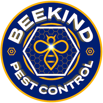 BEEKIND Pest Control Instagram profile photo