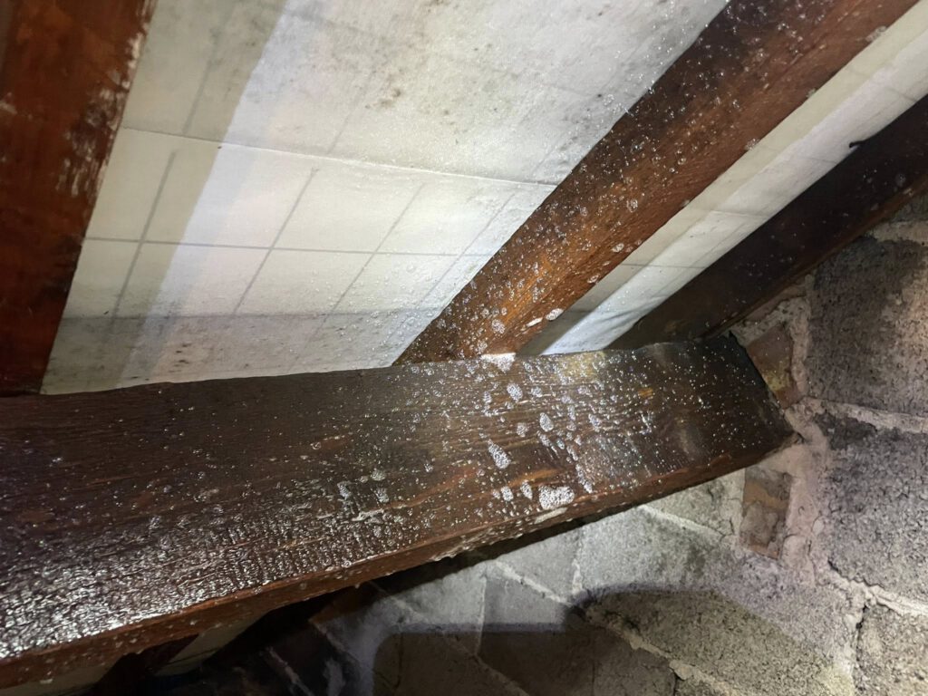 Woodworm damage close-up on beam
