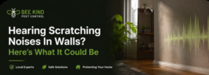 What to Do If You Have Bees in Your Home or Garden