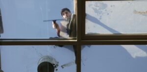 How Can I Keep Birds From Hitting My Windows?