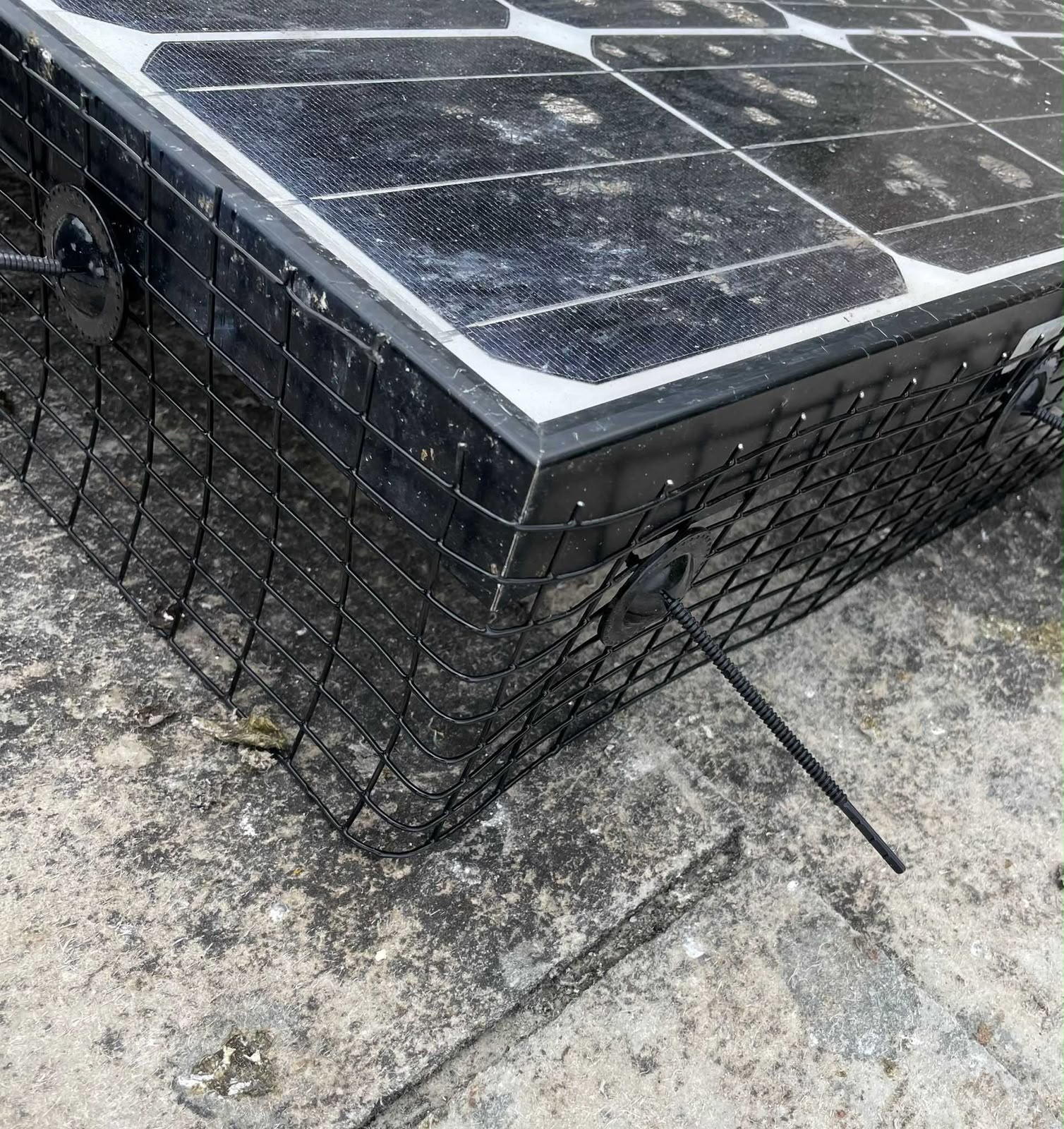 Close-up of bird mesh secured around the corner of a solar panel