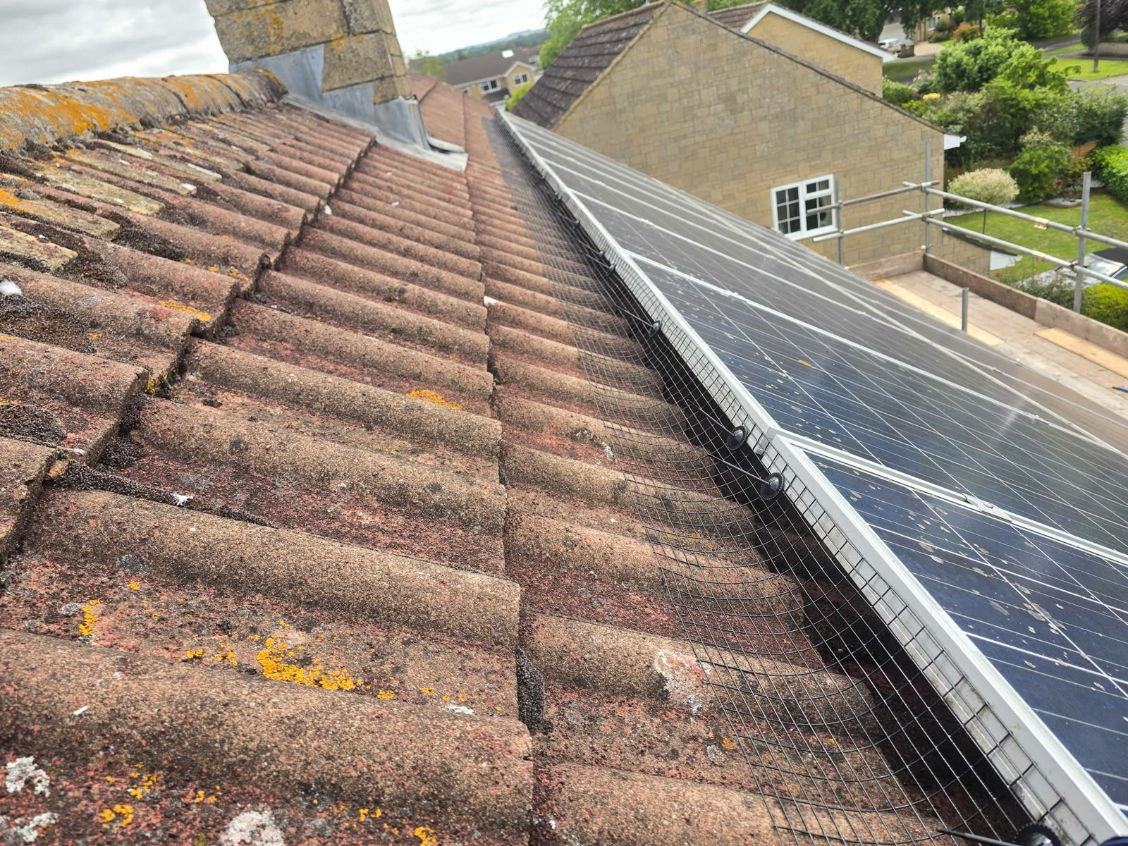 Residential solar array protected with perimeter bird mesh