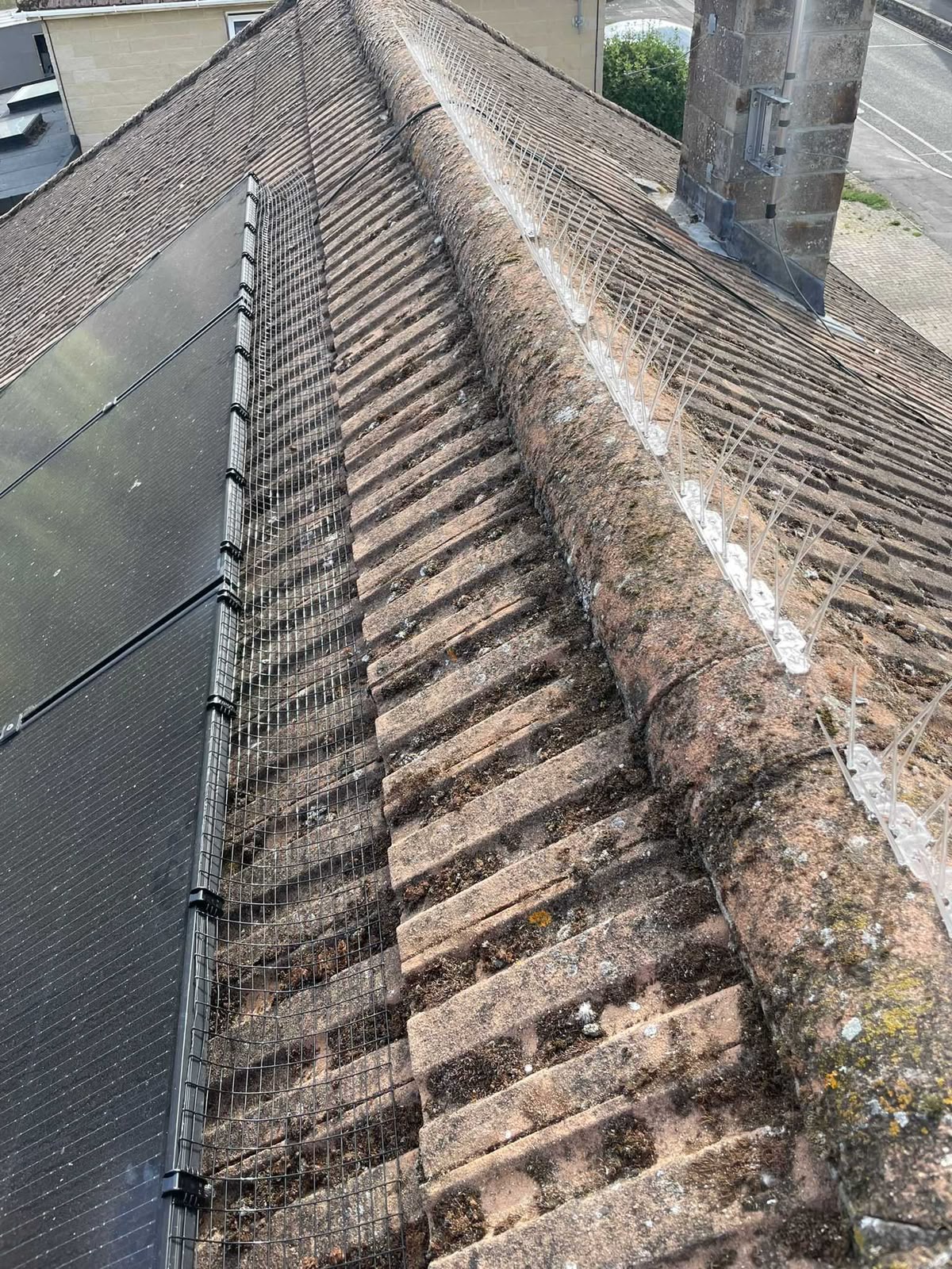 Perimeter mesh fitted along the edge of solar panels on a tiled roof